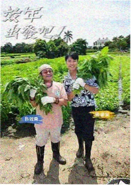 总裁的三年之约 甜宠小说封面